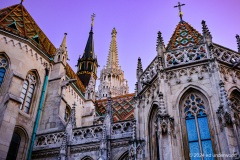 BUDA-6