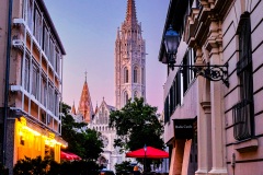 BUDA-7