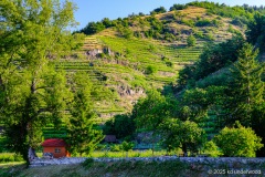 Danube-Cruise-9
