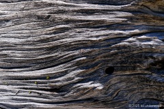 Donner-Pass-1
