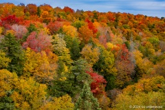 MW-leaf-peeping-5