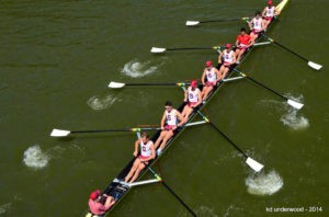 Rowing team in action on water.