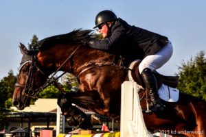 Equestrian jumping over obstacle in competition.