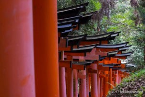 Red torii gates in a forest path.