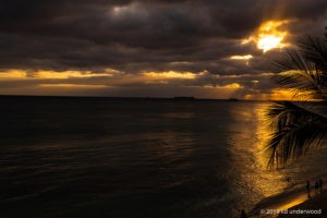Sunset over ocean with palm silhouettes.