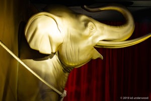 Elephant statue with red curtain background.
