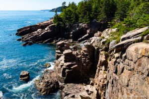 Rocky coastline with trees and blue ocean.