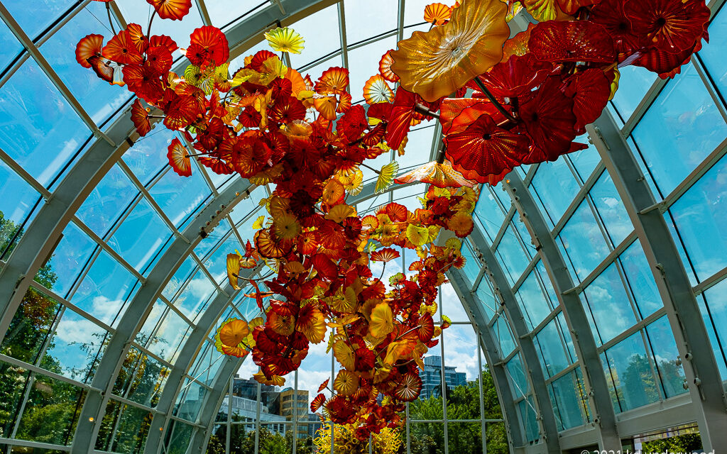 Glass ceiling installation with vibrant red flowers.